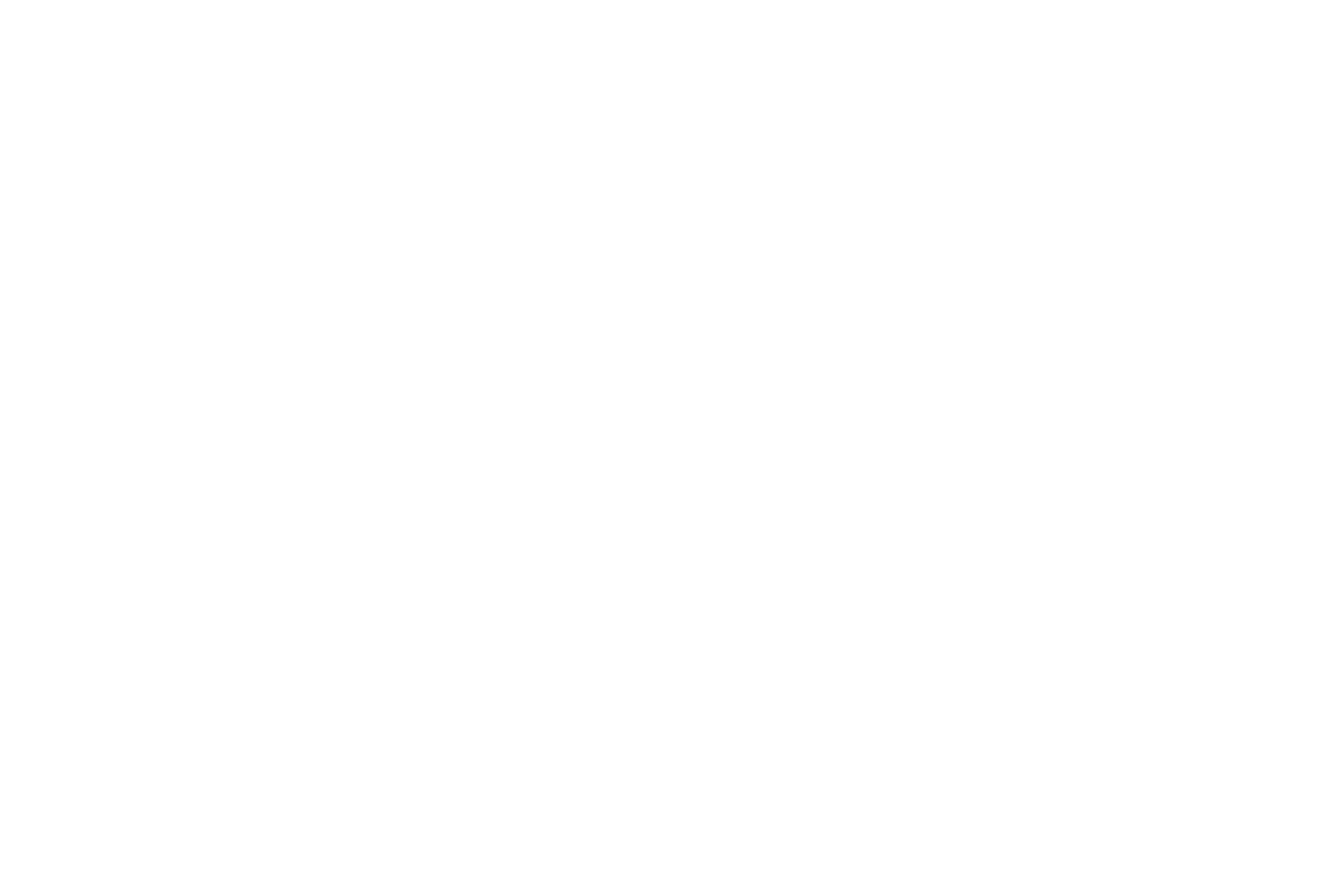 Stéphane Grossin Photographe professionnel Vendée